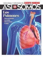 Así Somos - El cuerpo humano